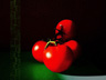 Tomato Still