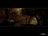 Autumn Woods
