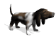 Hound Dog!