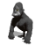 The Mountain Gorilla
