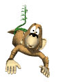 Swingin' Monkie!