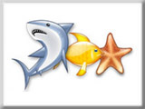 XFish