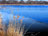 On Some Pond