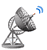 Satellite