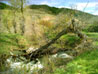 Smith Creek I 