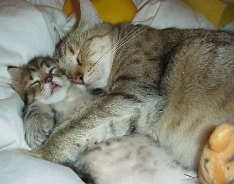 HUGS!!!!
