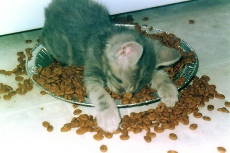 Pooped