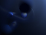 Embryo