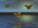 Flight
