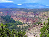New Mexico 1