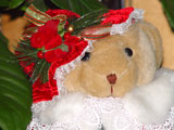New Mrs. Claus 2