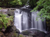 Whatcom Falls