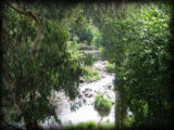 Yarra River
